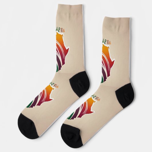 afro socks ソックス (左)