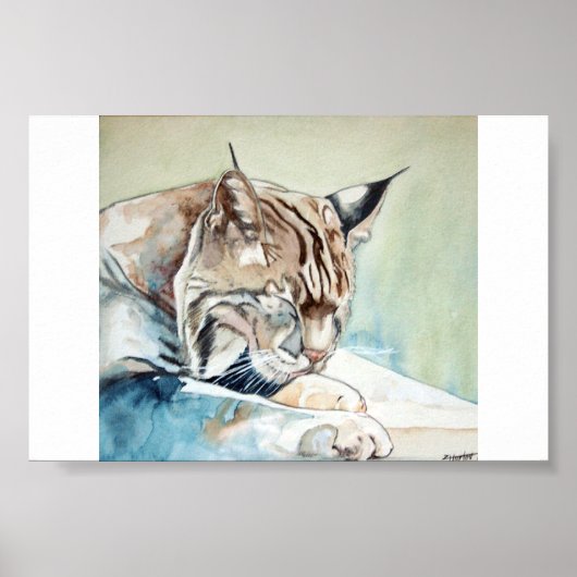 AFterディナーウォッシュアップ – ボブキャット ポスター (正面)