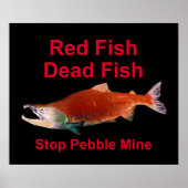 After Salmon - Stop Pebble Mine ポスター (正面)