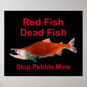 After Salmon - Stop Pebble Mine ポスター