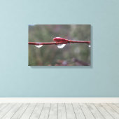 After the Rain キャンバスプリント (インサイチュ (ウッドフロア))