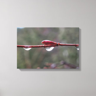 After the Rain キャンバスプリント