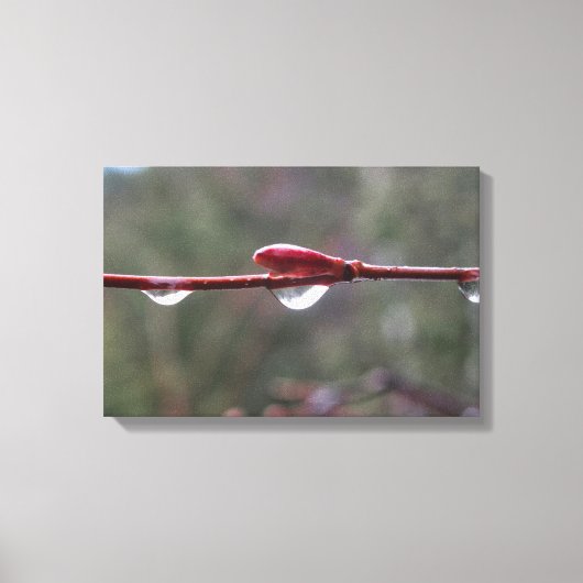 After the Rain キャンバスプリント (正面)