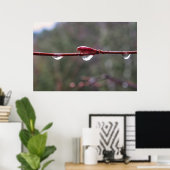 After the Rain ポスター (ホームオフィス)