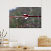 After the Rain ポスター (キッチン)