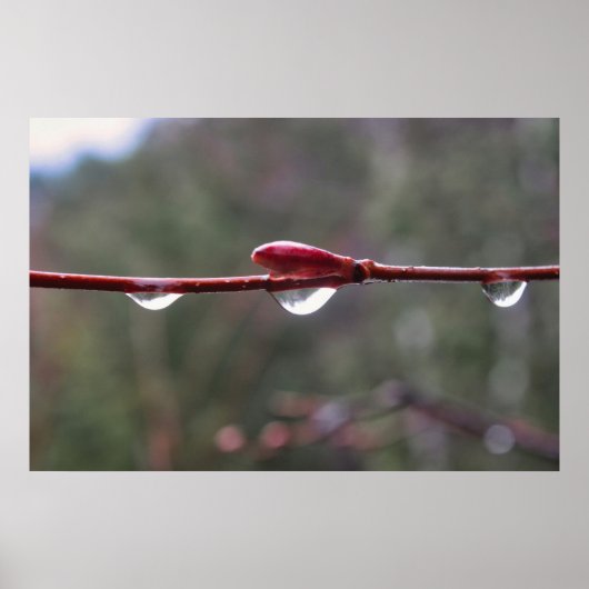 After the Rain ポスター (正面)