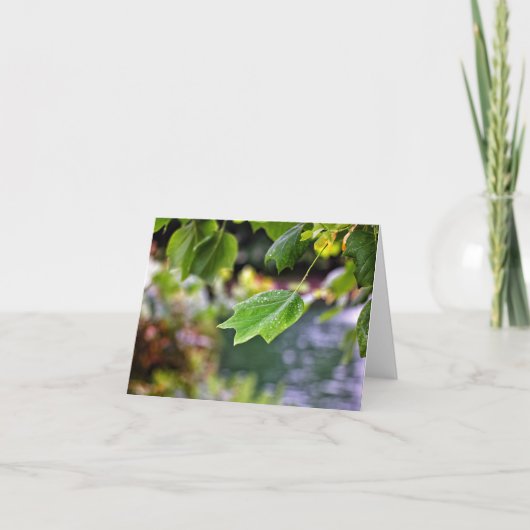 After the Rain Noteカード カード (正面)