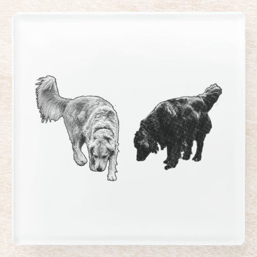 Afterglow Dot Sip — Retriever Duo ガラスコースター (正面)