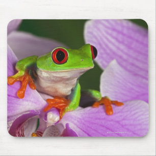 Agalychnis callidryas. マウスパッド