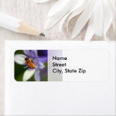 agapanthus africanus, Return Adressラベル ラベル (インサイチュ)