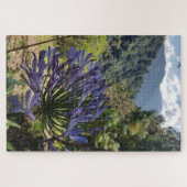 Agapanthus in Mountain Shade ジグソーパズル (横)
