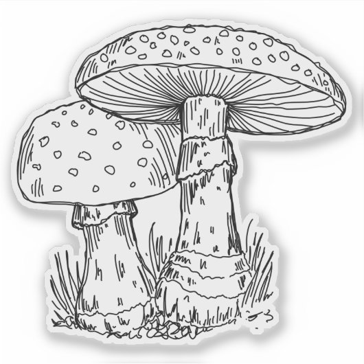 Agaric Mushies Sticker シール (正面)
