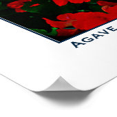 AGAVEと開花 – カリフォルニア・コースト ポスター (角)