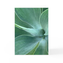 Agave Blank Note Card