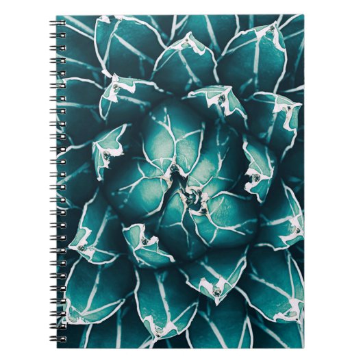 agave cacto、抽象芸術自然バックグラウンド、上位vi ノートブック (正面)