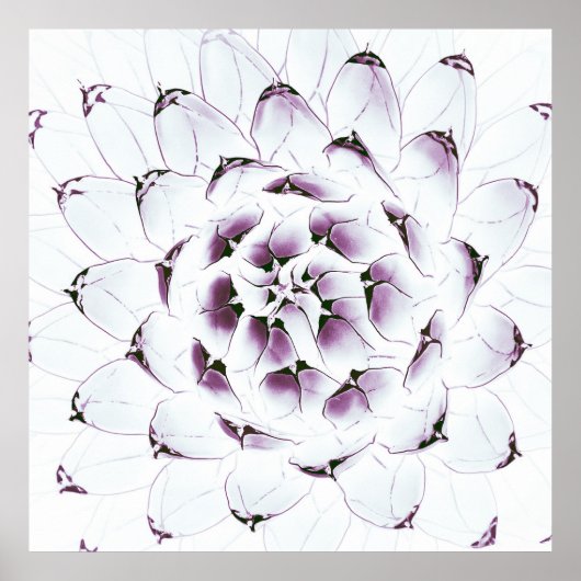 Agave Cactusポスター/プリント ポスター (正面)