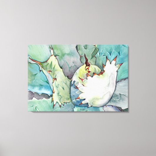 Agave colorata canvas print キャンバスプリント (正面)