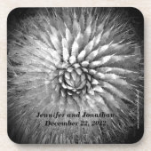 Agave Spike名パーソナライズされたB&Wセット6 コースター (正面)