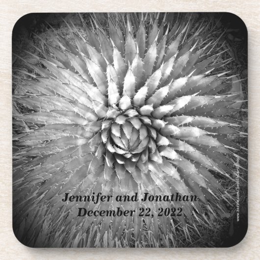 Agave Spike名パーソナライズされたB&Wセット6 コースター (正面)
