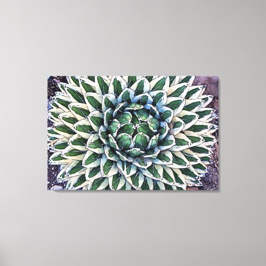 Agave victorae-reginae Canvas Print キャンバスプリント (正面)