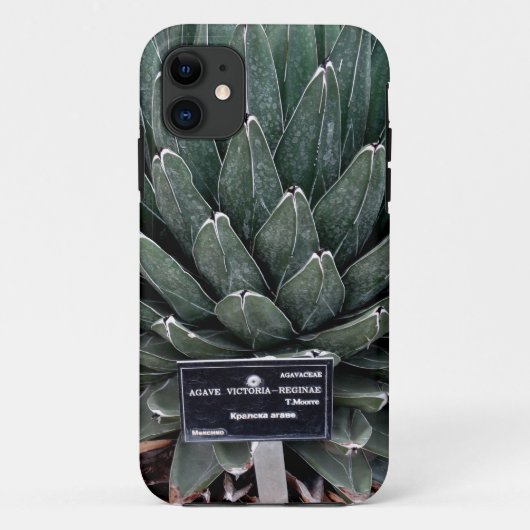 Agave Victoria Photo iPhone SE + iPhone 5/5S Case-Mate iPhoneケース (裏面)