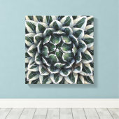 Agave victoria-reginaeの写真：デブラ・リー・ボールドウィン キャンバスプリント (インサイチュ (ウッドフロア))