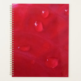 Agenda vermelha foto autoral プランナー手帳