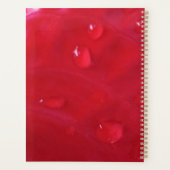 Agenda vermelha foto autoral プランナー手帳 (裏面)