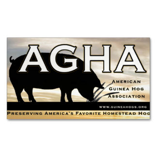 AGHA色の磁石 マグネット名刺