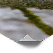 Agile Brown Squirrel in Alberta ポスター (角)