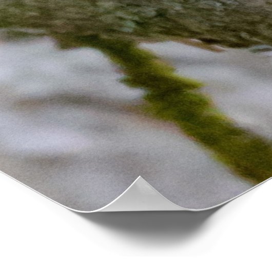 Agile Brown Squirrel in Alberta ポスター (角)