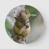 Agile Brown Squirrel in Alberta ラウンド壁時計 (正面)