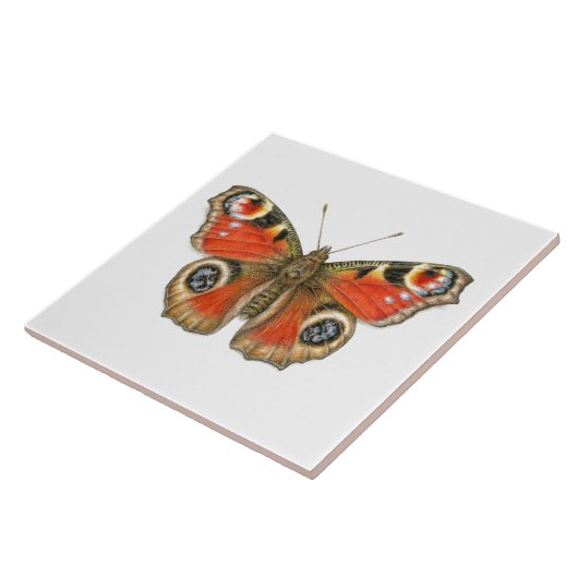Aglais io -陶磁器孔雀蝶 タイル (側面)