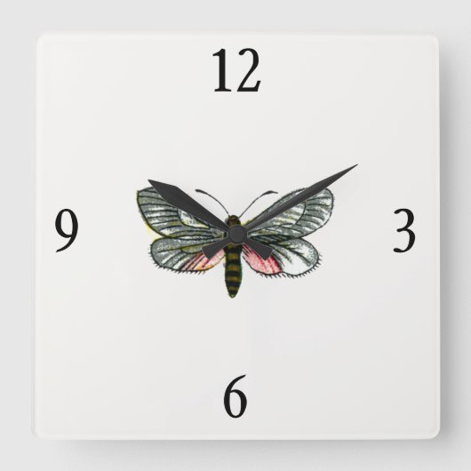 Aglaope infausta – アーモンド – ツリーリーフスケルトン スクエア壁時計 (正面)