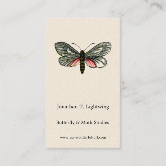 Aglaope infausta – アーモンド – ツリーリーフスケルトンB 名刺 (正面)