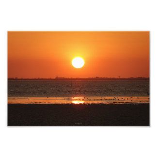 Agrandissement photo フォトプリント           