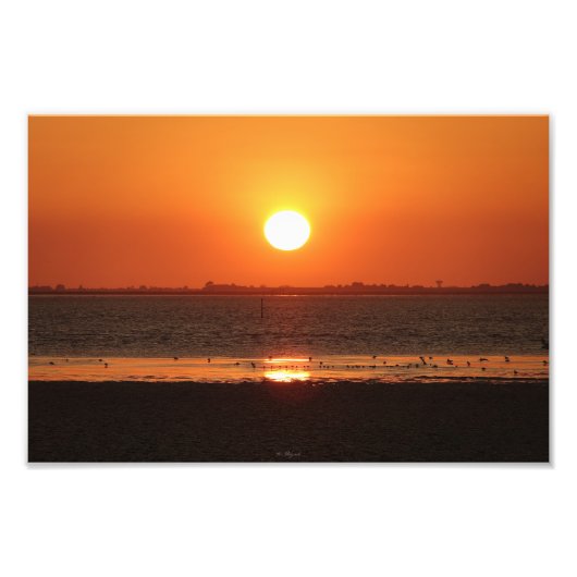 Agrandissement photo フォトプリント            (正面)