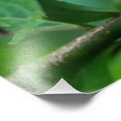 Agrandissements photo フォトプリント            (角)