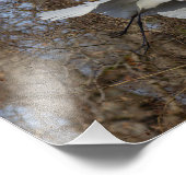 Agrandissements photo de la grande aigrette フォトプリント            (角)