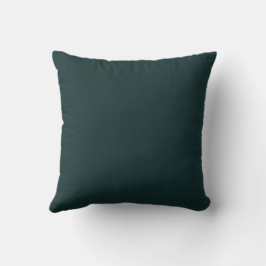 "AGUACATE" Throw Pillow クッション (裏面)