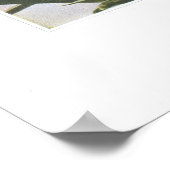 AgueまたはColicroot; Star Grass - Aletris farinosa ポスター (角)