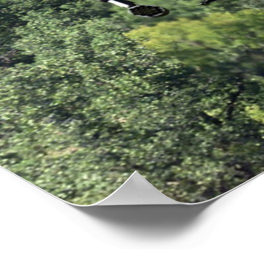 AH-64D Apacheヘリコプター ポスター (角)