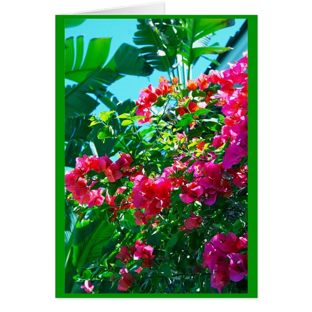 Ahh…フロリダ (正面)