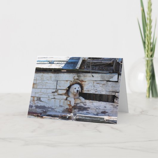 Ahoy Mateyカード カード (正面)