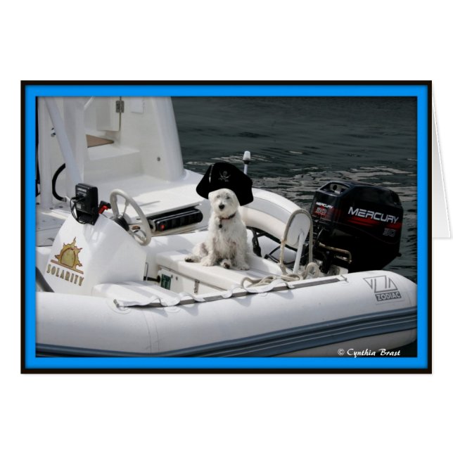 Ahoy Matey (正面横)