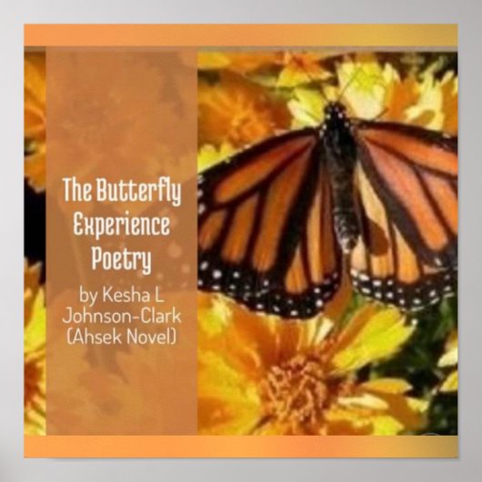 Ahsek Novel Book Poster 780 ポスター (正面)