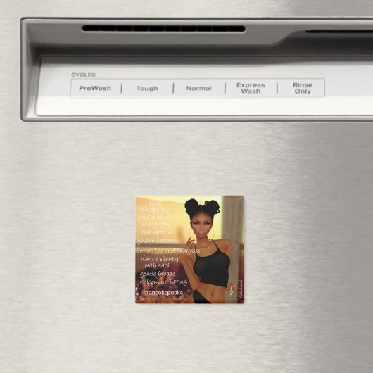 Ahsek Novel Poetry Magnet 7 マグネット (インサイチュ (食洗機))