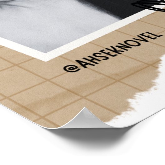 Ahsek Novel Poster 906 ポスター (角)