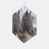 AHTホースレスキュー ガラスオーナメント (正面左)