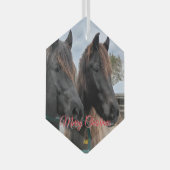 AHTホースレスキュー ガラスオーナメント (正面右)